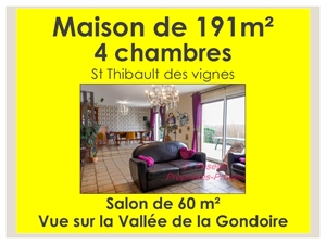 maison à la vente -   77400  SAINT THIBAULT DES VIGNES, surface 3 m2 vente maison - UBI444278105